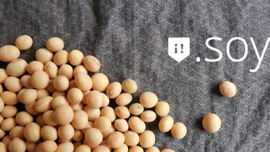 Le .SOY, une extension aux multiples facettes