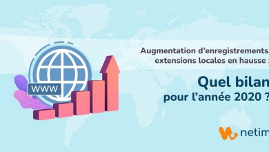 Rapport afnic sur les noms de domaine