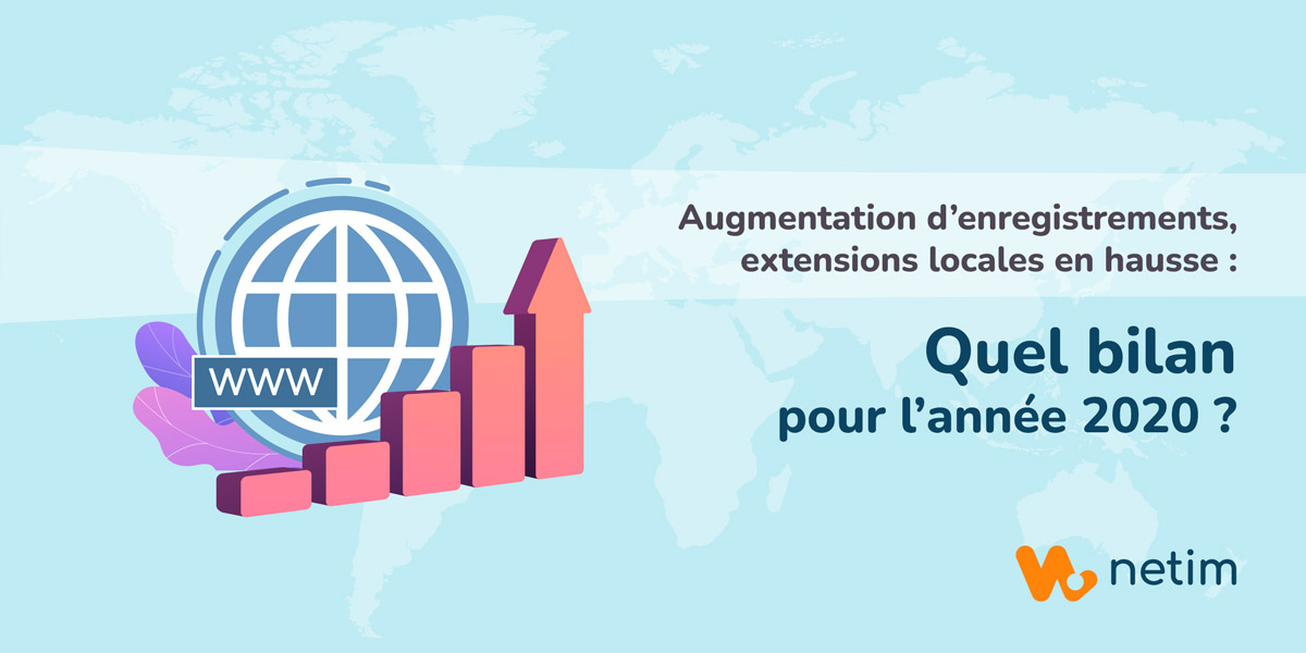 Rapport afnic sur les noms de domaine