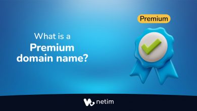 What is a Premium domaine name?